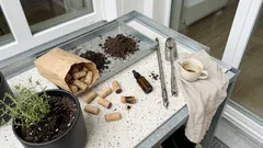 Maulwurf im Garten vertreiben: schonende Tipps, die legal sind und den Boden schützen